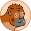 APE