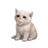 BABYCASHCAT