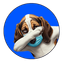 $HOUND