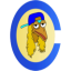 BIRDDOG