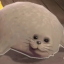 SEALS