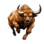 $BULL