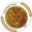 CNV