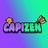 CAPI