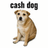 CASHDOG