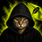 HOODCAT