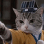 CATFU