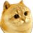 CATGE
