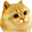 CATGE
