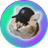SOLCAT