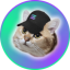 SOLCAT