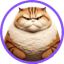 CHONK