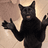 CLAPCAT
