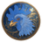 COCK