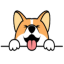 CORGI