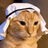 CRUDECAT
