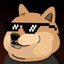 DANKDOGE