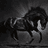 DARKHORSE