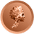 DVO