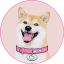 DOGEGF