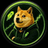 DOGE