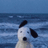 DOUG