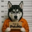 $PETSNA