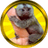 FM