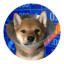 GOGO