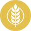 GRAIN