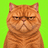 GRUMPY