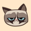 GRUMPY