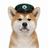 HACHI