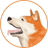 HACHI