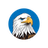 HAWK