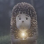 HIF