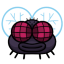 FLY