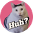 HUHCAT