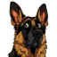 HUND