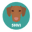 HVI