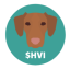 HVI