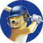 IPL