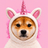 INU