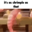 SHRIMPLE