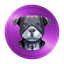 JAXINU