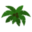 JUNGLE