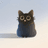 KITTY