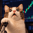 LEVERCAT