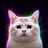 LONGCAT