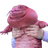 MAGAIBA